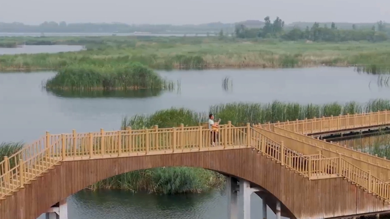 逛雄安VLOG丨與一位&ldquo;護(hù)鳥大使&rdquo;的特別會面